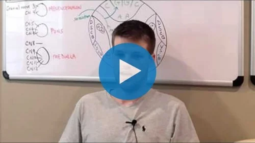 Anxiety, ADHD & Bipolar Recovery