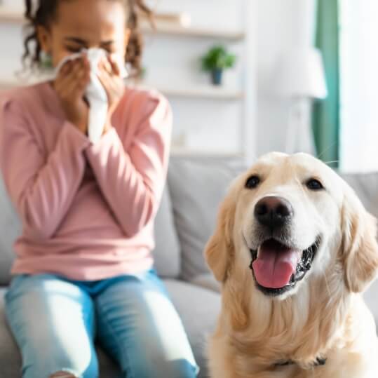 Allergy Tests & Immunotherapy in Greenville, SC​