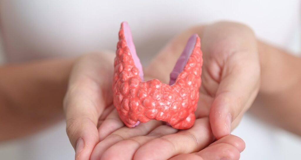 Best Natural Thyroid Care In Greenville SC