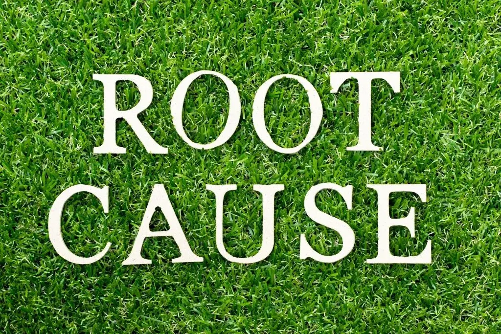 What Is Functional Medicine and How Does It Help Thyroid Patients? — New Life Health