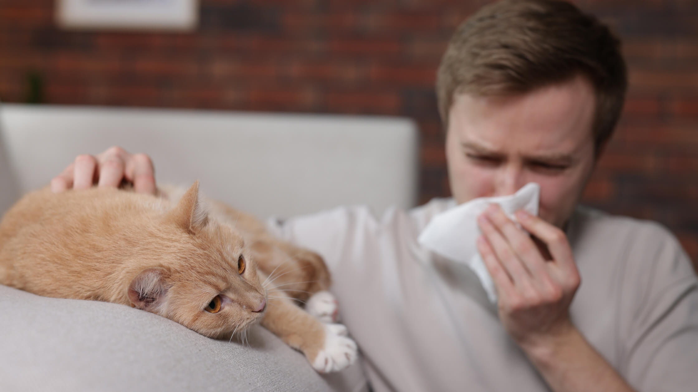 Allergies and the Immune System_ A Functional Medicine Guide to Lasting Relief