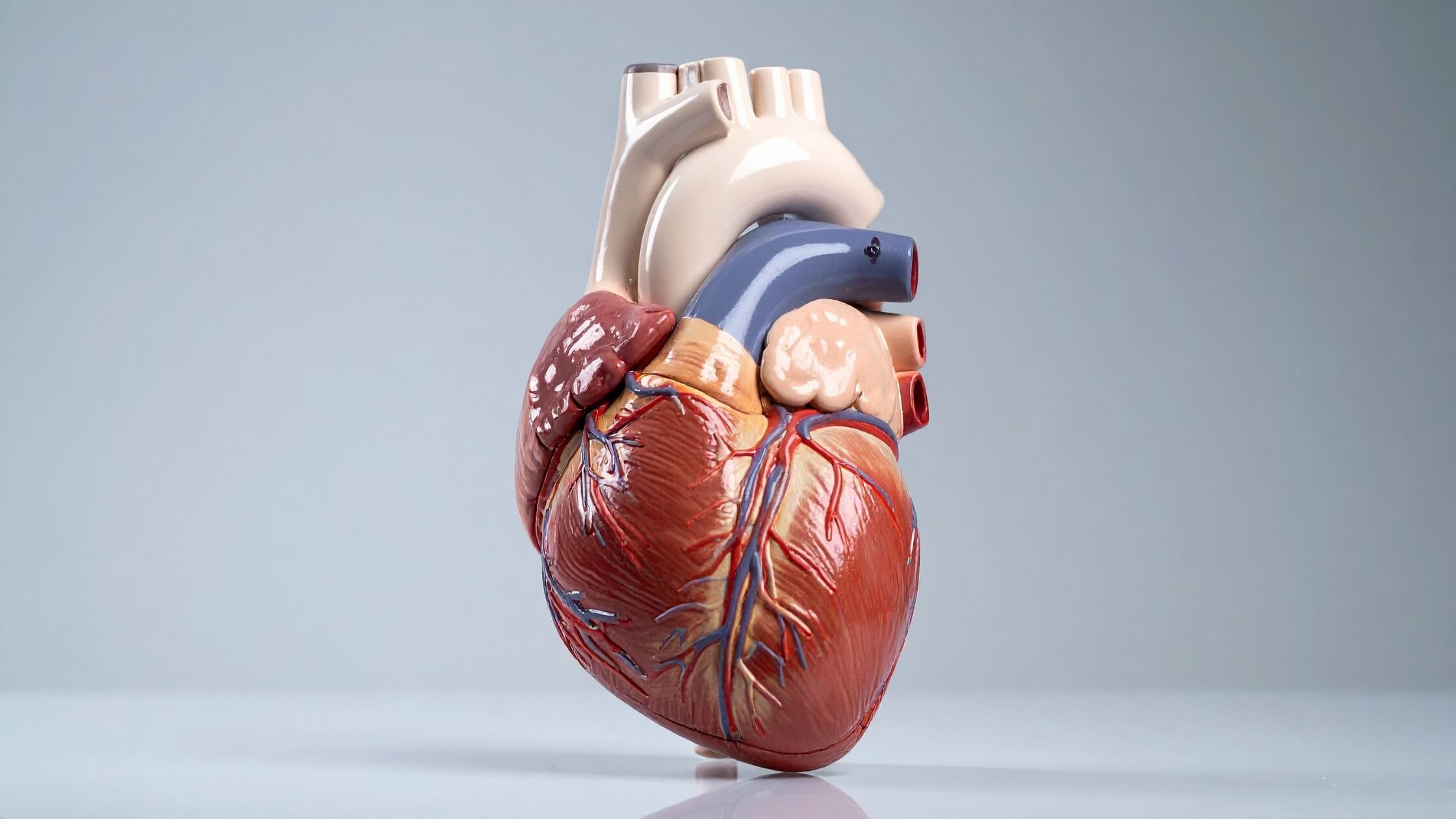 Functional Medicine for Heart Health_ Inflammation, Cholesterol, and Longevity