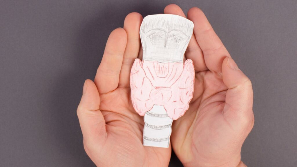 The Hidden Link Between Autoimmune Disease and Thyroid Dysfunction